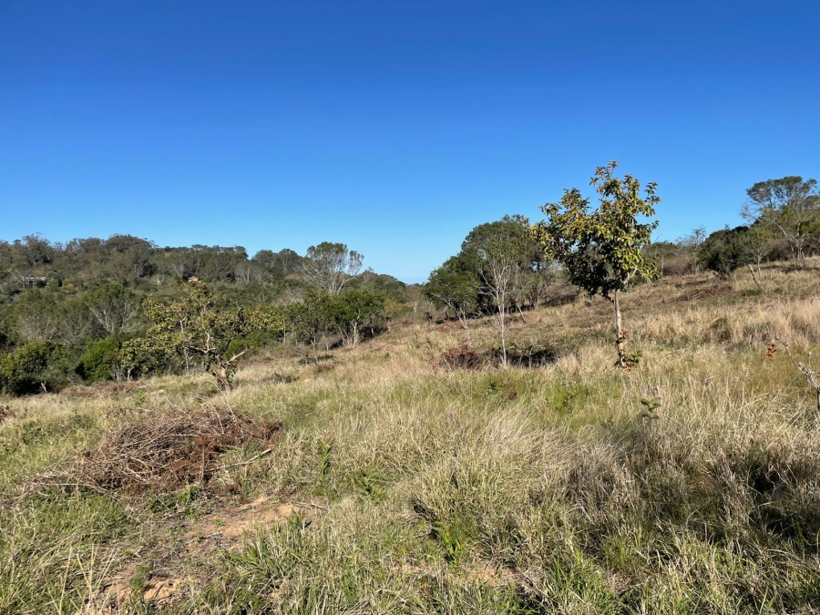 0 Bedroom Property for Sale in Bathurst Eastern Cape